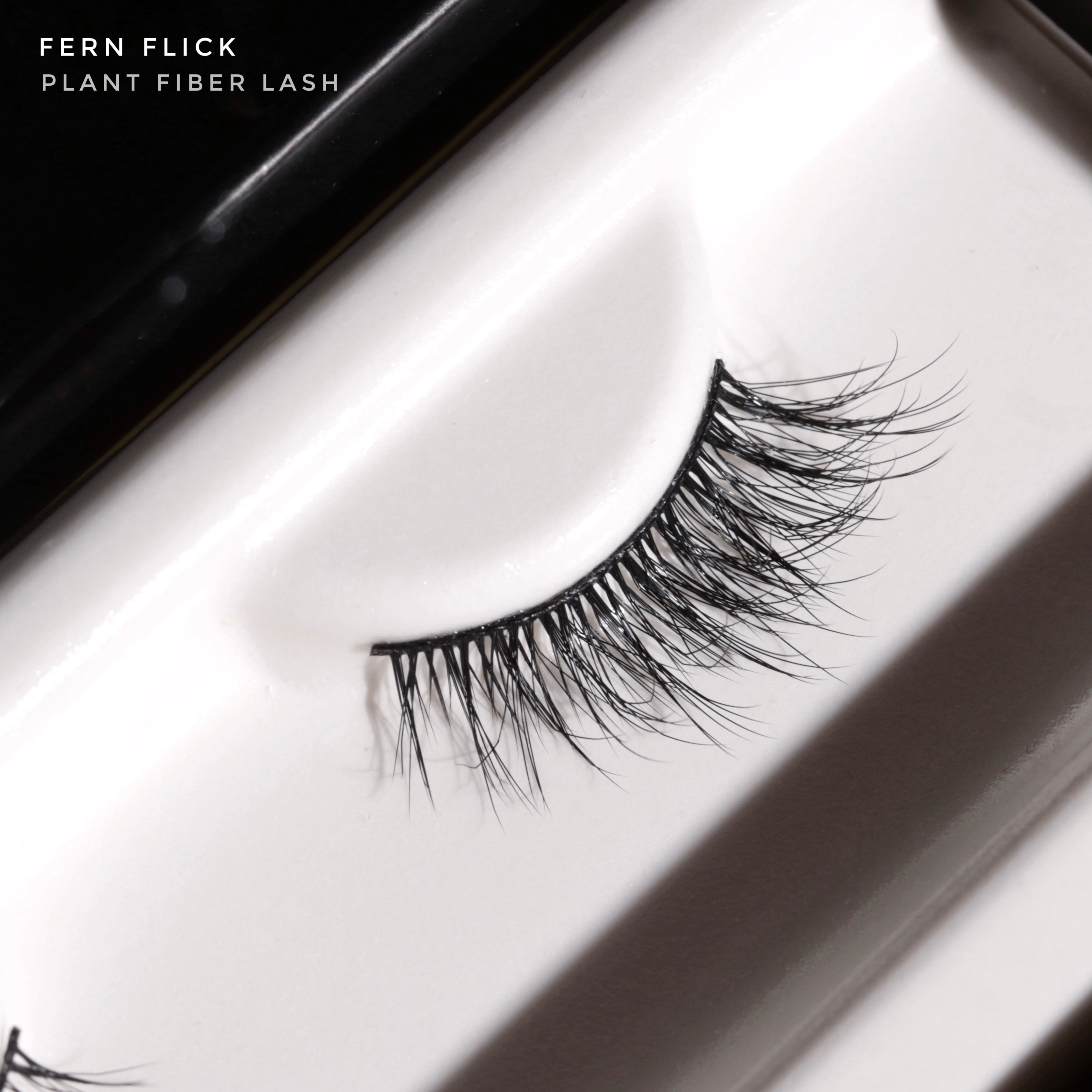 FERN FLICK