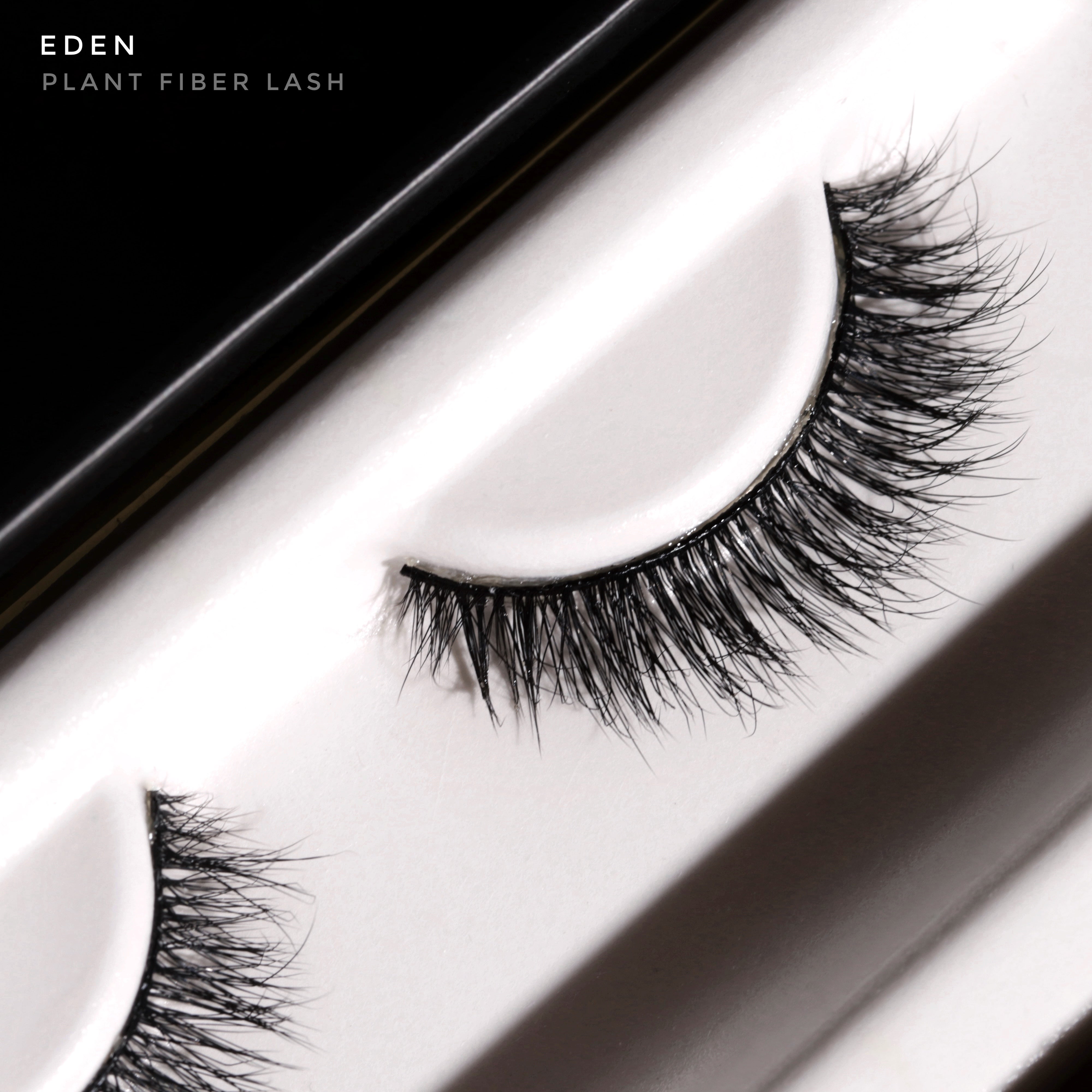 EDEN